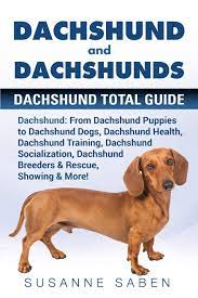 Find your new family member today, and discover the puppyspot difference. Dachshund And Dachshunds Dachshund Total Guide Dachshund From Dachshund Puppies To Dachshund Dogs Dachshund Health Dachshund Training Dachshund Dachshund Breeders Rescue Showing More Saben Susanne 9781911355793 Amazon Com Books