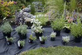 Maybe you would like to learn more about one of these? Clever Ways To Reuse Plastic Gardening Pots