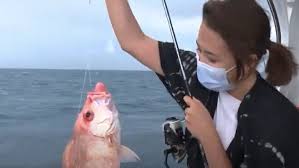 Halo hobi mancing mania kali ini kita akan membahas tentang cara memancing ikan paling kreatif. Menyantap Ikan Segar Hasil Pancingan Sendiri Di Pulau Seribu