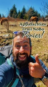 Sunset, Sunrise- If you look closely, you can see the Seattle skyline from  Golden Lakes camp; the sun coming up over Mt. Rainier and Aurora Lake at  Klapatche camp. #wonderlandtrail #mtrainier #mtrainiernationalpark #