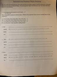 (figure 14.6 from krogh, biology, a guide to the natural world, 2005) in translation, each set of three nucleotides in an mrna molecule codes for one amino acid in a protein. Solved Transcription And Translation Practice Worksheet F Chegg Com