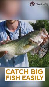 I have fish in charleston for 20 years and the biggest i caught has been 69 lbs and want to know how to get the record breaker ones. Realistic Fish Lure Suitable For All Kinds Of Fish Video Fish Fishing Tips Fishing Accessories