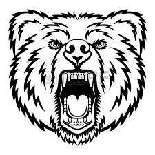 Draw an oval with squiggly edges. Images Of Cartoon Bear Head Drawing