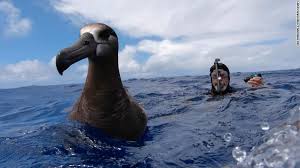 Maybe you would like to learn more about one of these? Profil Samudra Terbesar Di Dunia Luasnya Capai Sepertiga Permukaan Bumi