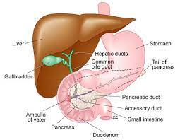 Dumping Syndrome Treatment Symptoms Diagnosis Causes