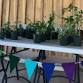 Blue Ridge Plant & Seed Swap