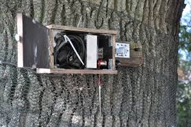 Posted on december 28, 2016 by werner. Ein Automatisches Weidetor Erleichtert Die Pferdefutterung 360 Pferd