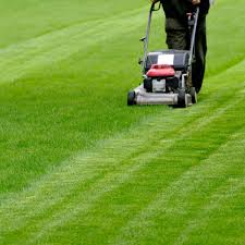 Iran's nuclear power plant undergoes emergency shutdown. North Lanarkshire To Cease Grass Cutting In Public Areas Daily Record