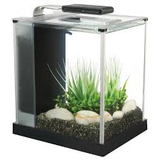Fluval Spec Iii Aquarium Kit In Black 2 6 Gallons Easy To Setup And Maintain All Glass Freshwater Aquarium Small Betta Fish Tank Aquarium Kit Nano Aquarium