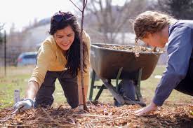 We can hardly keep up with that demand! Fruit Trees For The Front Range Online Course Growing Gardens