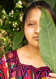 ACH_CA_El sueño americano en casa_2024