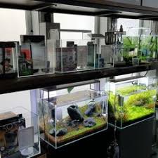 Check spelling or type a new query. Saltwater Fish Store Near Me Off 72 Www Usushimd Com