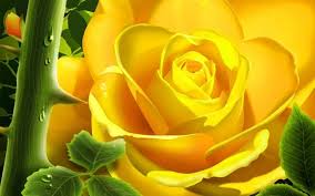 Download 3d Wallpaper Rose Hd 3d Wallpaper Rose Hd Download Download Downlo These Yellow Wallpaper Rose Flower Wallpaper Flower Wallpaper Yellow Roses