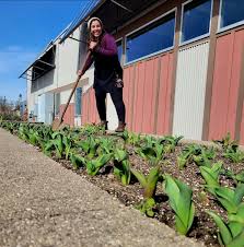 Sustainability at our Co-op — PFC Natural Grocery & Deli