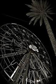 28 Best The Wharf Pins On Pinterest Images Orange Beach