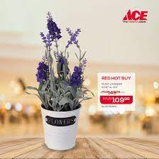 Red and white with gold trim and ace hardware logo. These Lifelike Ace Hardware And Home Centre Maldives Facebook