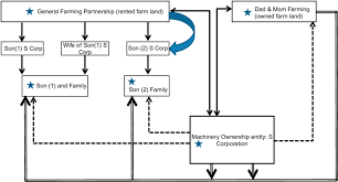 Organizational Structure Of Super Farm No 1 Download