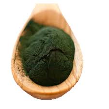 medicine grade spirulina powder packaging size 100 grams 1 kg packaging type packet rs 1200 packet id 16924065888 spirulina powder