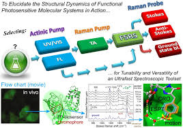 He discovered the raman effect and the phenomenon of scattering of light. Ultrafast Raman Spectroscopy Explained 2017 Wiley Analytical Science