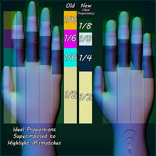 Improved Hand Proportions: Comparison by DrGravitas -- Fur Affinity [dot]  net
