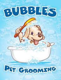 9526 ne 2nd ave #104, miami shores • 6.2 mi. Groomers Miami Fl Bubbles Pet Grooming