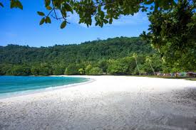 Our kava wine is produced from local kava juice with imported ingredients. Vanuatu Entdecken Coco Weltweit Reisen Gmbh