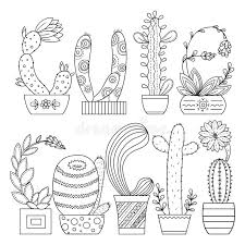 Cactus theme coloring pages would be fun to color. Vector Coloring Page Linear Image On White Background Cute Cactus For Page For Coloring Book Contour Image Of Cactus Scribble Fo Stock Vector Illustration Of Floral Painting 117431007