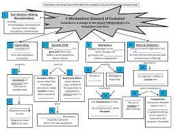 This is the currently selected item. 5 Mechanisms Causes Of Evolution Worksheet