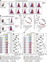 This dye is a tandem fluorochrome of. Helicobacter Pylori Induced Rev Erba Fosters Gastric Bacteria Colonization By Impairing Host Innate And Adaptive Defense Cellular And Molecular Gastroenterology And Hepatology
