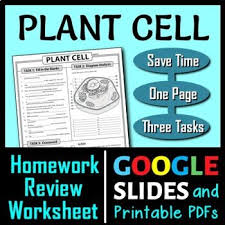 Very little was known about the cell for the next 150 years after robert hooke's observations. Draw And Label Plant Cell Worksheets Teaching Resources Tpt
