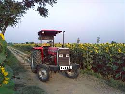 The Mf Tractor From Tafe Looking Regal In The Sunflower Fields Of Punjab With An Association Spanning Over Massey Ferguson Tractors Tractors Monster Trucks