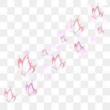 Floating Butterfly Flying Pink Rose Petals Png And Psd Pink Pattern Background Rose Petals Falling Butterfly Illustration