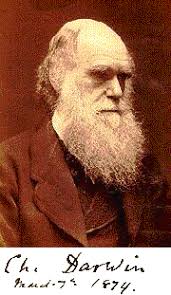Evolution -- Charles Darwin & A. R. Wallace