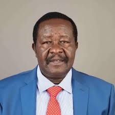 It's a beautiful evening, good evening beautiful people 🤝 #oinotilemaa  #enkeraiolmaasani #themff #orrekielolmaasani #themaasaiinternational