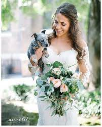 So it only makes sense to include them in one of the most important days of your life! Gorgeous Bridal Bouquet Bride And Puppy Knoxville Wedding Knoxville Florist Knoxville Tn Br Shabby Chic Wedding Bouquet Wedding Shabby Chic Wedding