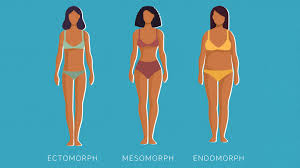 Maybe you would like to learn more about one of these? Body Type Quiz Are You An Endomorph Ectomorph Or Mesomorph Everyday Health