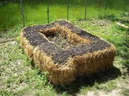 Check spelling or type a new query. Straw Bale Gardening Complete Beginner S Guide Long Read