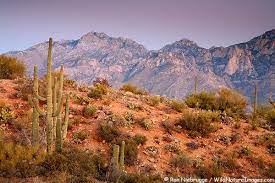 90,379 likes · 1,110 talking about this · 114,380 were here. Catalina Mountains Backyard Views Desert Places Cool Places To Visit Southwest Image