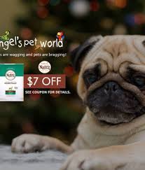Verified up to 15% off lucy pet products at lucy pet products. Angel S Deals Angel S Pet World
