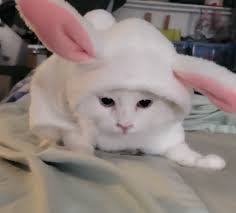 Here comes Peter Cottontail, dancin' down the bunny trail . . .  hippity-hoppin' Easter's