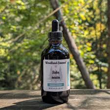 Image result for Sida acuta