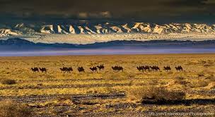 Autumn In Gobi Travel Mongolia Travel Destinations