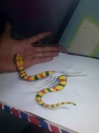Trying To Imitate The Tutorial Of Snake 3d Drawing In Youtube But The Result Was Its Okay Or It S A Newbie Steemit 159 024 просмотрадва года назад. tutorial of snake 3d drawing in youtube