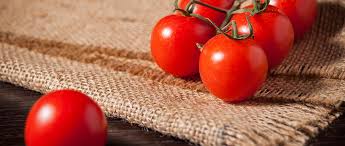 Sedangkan tomat kaya akan kandungan vitamin c nya. Kandungan Dan Manfaat Tomat Cherry Kecil Kecil Kaya Nutrisi