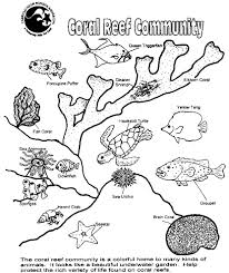 Learn the difference between these two key ecological terms and how ecologists use them to better understand the plants and animals in an ecosystem. Coral Reef Coloring Pages Free Coloring Our World
