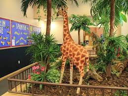 The inevitable impact of the virus led schools and universities to a period of experimentation that, honestly, has left positive and negative results as the case may be. Castle Montessori Of Frisco Tx Preschool Daycare