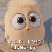 Funny Love Gifs Tenor Chippy is a little dog with a lot of love in his heart for you. funny love gifs tenor