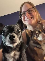 Cavalier King Charles Spaniels Dental Health and Surgery Experiences