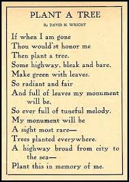 Pin By Sandy Weir On Tree Poetry Remembrance Poems Memorial Tree Planting Memory Tree