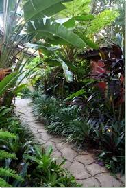 Lime In The Coconut Tropical Landscape Design Tropical Landscaping Tropical Garden